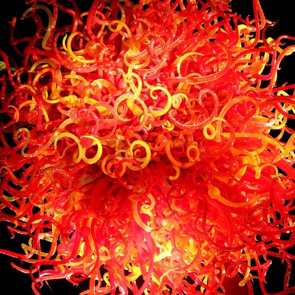 Meet your Posher, Allison - Picture 1 of 1